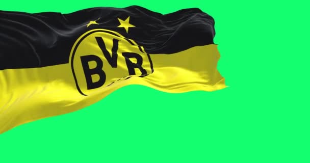 Dortmund Ger Eylül 2022 Borussia Dortmund Bayrağı Yeşil Bir Arka — Stok video
