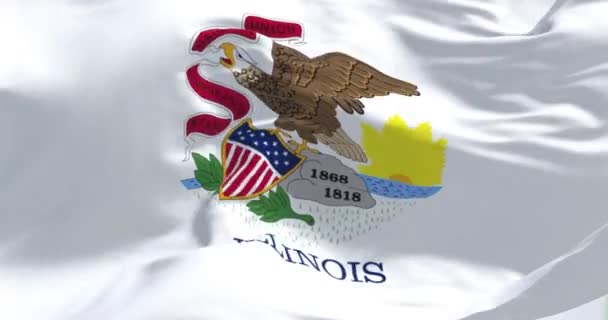 Vista Perto Bandeira Estado Illinois Acenando Vento Dia Claro Illinois — Vídeo de Stock