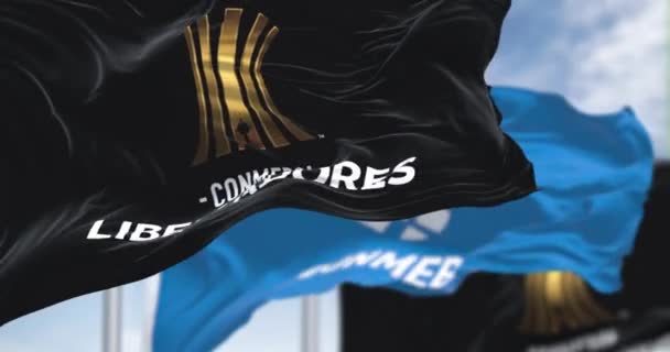 ブエノスアイレス 2022年9月 ConmebolとLibertadoresの旗が振っています Conmebolリベルタドーレス Conmebol Libertadores 南米のサッカー競技会 スローモーションでのシームレスなループ — ストック動画