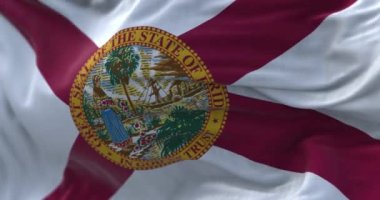 Florida eyaletinin rüzgarda dalgalanan bayrağının yakın çekimi. Florida, Amerika Birleşik Devletleri 'nde bir eyalettir. Kumaş desenli arka plan. Seçici odaklanma. Yavaş çekimde kusursuz döngü