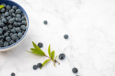 Mavi hanımeli tatlı böğürtlenler beyaz mermer masa arka planında bir kasede. Üst görünüm, kopyalama alanı, düz yatış. Sağlıklı yeme kavramı. 
