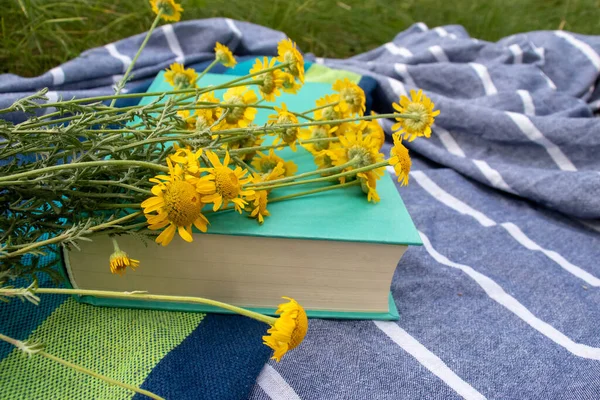 과노란 놓는다 속에서 휴식을 취하고 방학을 즐기며 소설을 읽는다 — 스톡 사진
