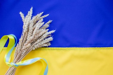Bouquet of golden wheat ears tied with a yellow and blue ribbon on the flag of Ukraine background. Independence day of Ukraine,  Constitution day, Flag day. Country national symbol. Copy space