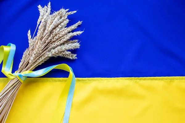 Bouquet of golden wheat ears tied with a yellow and blue ribbon on the flag of Ukraine background. Independence day of Ukraine,  Constitution day, Flag day. Country national symbol. Copy space