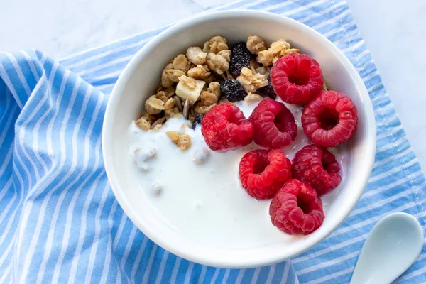 Bowl Homemade Granola Cereal Greek Yogurt Fresh Raspberry Berries White Imagen de stock