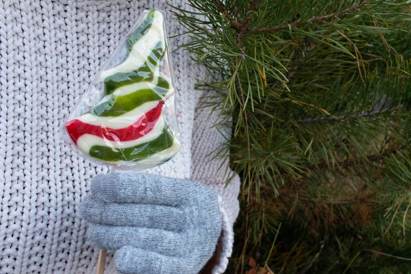 크리스마스 모양의 롤리팝 스웨터를 사탕을 막대기에 장갑을 휴가의 — 스톡 사진