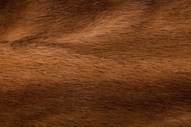 doğal vizon kürk kahverengi renginin arka planı