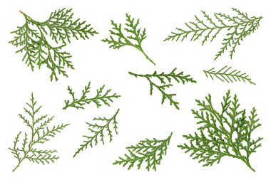 Noel şubesi 10 kişilik tecrit