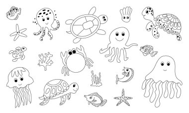 Deniz hayvanlarının siyah çizgileri vardır.