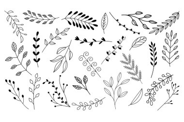 Siyah çizgili ince dallar.