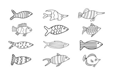 12 parçalık bir balık seti.