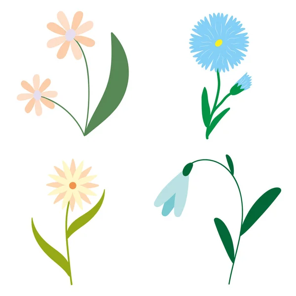 Flori Set Diferit Patru — Fotografie, imagine de stoc