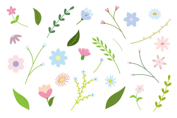 Beyaz bir arka planda çiçek ve dal seti