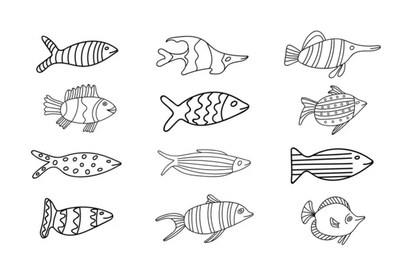 Набор Рыбы Двенадцать Штук Черные Контуры — стоковое фото