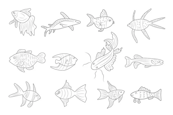 Набор Различных Рыб Черным Контуром — стоковое фото