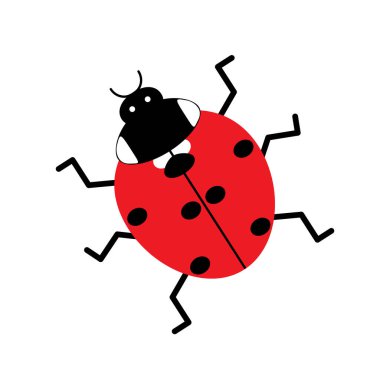 Beyaz arkaplanda uğur böceği