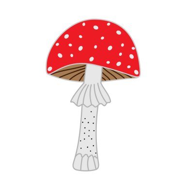 Beyaz arkaplanda tarım mantarı uçur