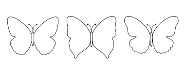 Beyaz arka planda siyah çizgili kelebekler.