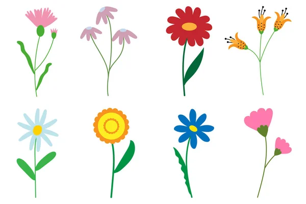 Sekiz parçadan oluşan çiçekler.