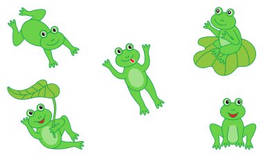 Beyaz arkaplanda komik kurbağalar.