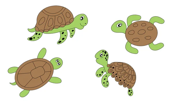 set of green turtles with brown shell