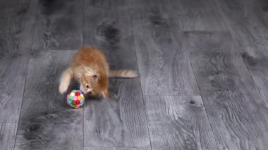 a small orange kitten plays on a gray floor with a ball