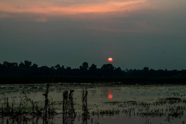 Güzel altın gün batımı gökyüzü ve karanlık bulutlar akşamları gökyüzünde güneşten gelen sarı ve turuncu ışıkla