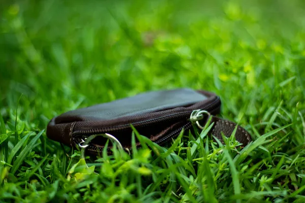 Best Extraordinarily Beautiful Key Ring Bag Smart Key Holder Displayed — Stock Photo, Image