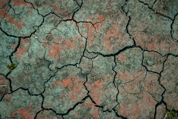 Трещины Почвах Подвергающихся Сушке Контролируются Трещинами Почве Красного Цвета Влажная — стоковое фото