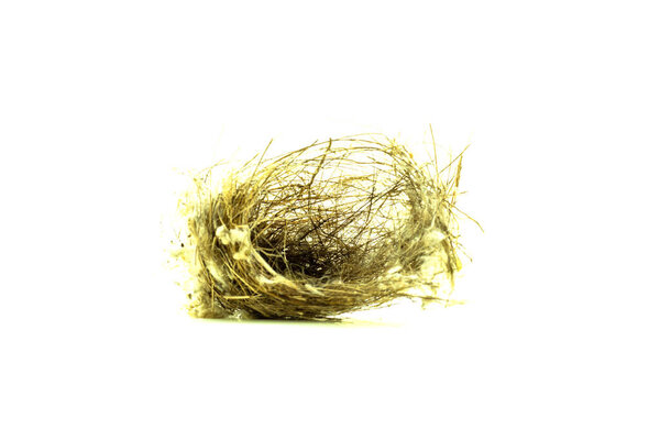 The simplest nest construction is the scrape Eggs and young in scrape nests