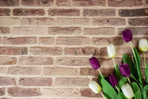 Beautiful tulips on brick wall background, Lovely greeting card with tulips for Mothers day, wedding or happy event concepts. Copy space for text.
