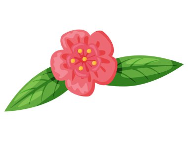 Yeşil yapraklı pembe narin çiçekler. Şeftali çiçeği sakura çiçeği ya da kiraz çiçeği