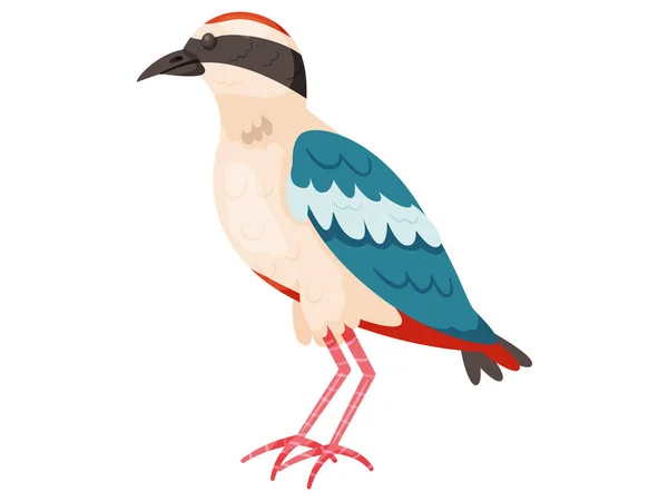 Чудовий екзотичний тропічний птах з яскравим кольором оперення плоского стилю логотипу значок. мила пташка — стоковий вектор