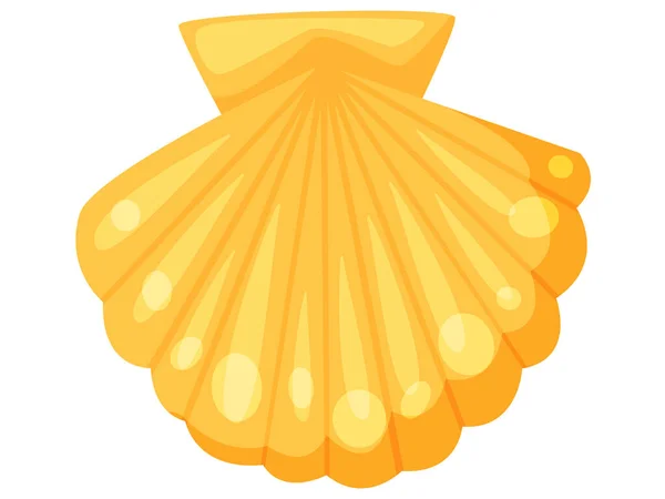 Морська оболонка, молюски водяного підводного мешканця ізольовані. Конч морський символ морів і океанів — стоковий вектор