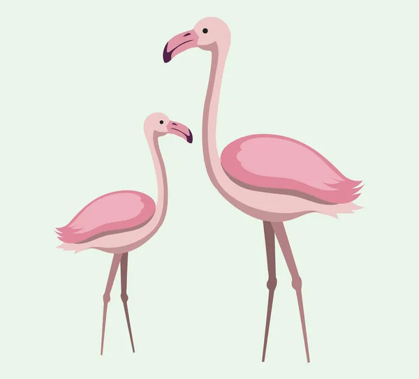 Δύο ροζ φλαμίνγκο σετ. Εξωτικό τροπικό πουλί. Συλλογή ζωολογικών κήπων. Ωραίος χαρακτήρας κινουμένων σχεδίων — Διανυσματικό Αρχείο