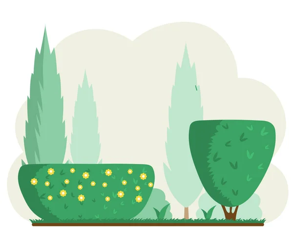 Tuin, gazon met bijgesneden struiken en bomen. Landschapsontwerp met groene ruimtes, gras, thuja — Stockvector