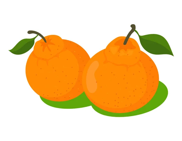 Orange tangerine dengan ilustrasi vektor daun hijau. jeruk manis dan asam terisolasi di atas putih - Stok Vektor