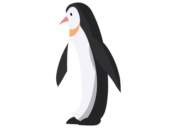 Ο βασιλιάς πιγκουίνος κολυμπά και καταδύεται καλά τρώει ψάρια. Μεγάλο μαύρο και άσπρο θαλάσσιο πουλί απομονωμένο σε λευκό — Διανυσματικό Αρχείο