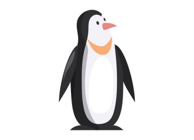 Kral penguen iyi yüzer ve balık yer. Büyük siyah beyaz deniz kuşu beyazda izole edilmiş.