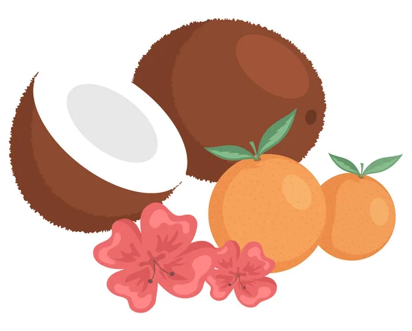 Mandarinas e coco partidos ao meio. tangerinas suculentas de laranja e nozes de coco, comida exótica, flores —  Vetores de Stock