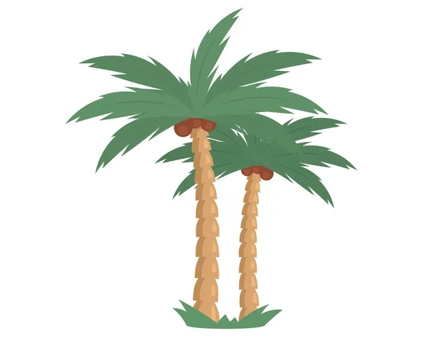 Palm trees with coconut on sand island flat vector cocopalm. Two coconut tree with coco nuts — Stockvector