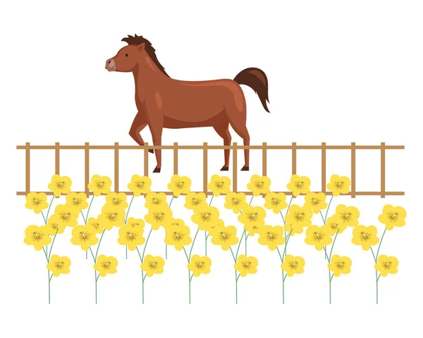 Horse stands behind fence at flower bed isolated on white. Farm animal for riding or transportation — Διανυσματικό Αρχείο