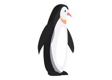 Kral penguen iyi yüzer ve balık yer. Büyük siyah beyaz deniz kuşu beyazda izole edilmiş.