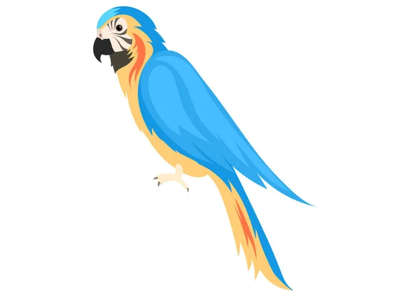 Perroquet Tropical Jaune Bleu Macaw Est Isolé Sur Blanc Beau — Image vectorielle