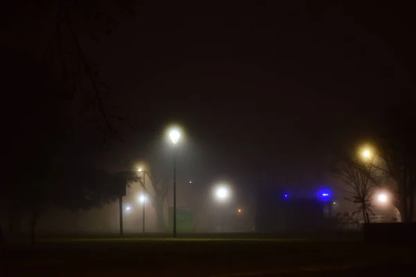 night city lights, fog and road