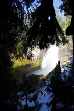 Vahşi ormanda şelale manzarası, yaz mevsimi doğası. 