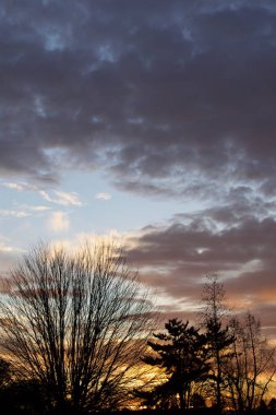 turuncu günbatımı gökyüzü bulutlar ve ağaçlarla 