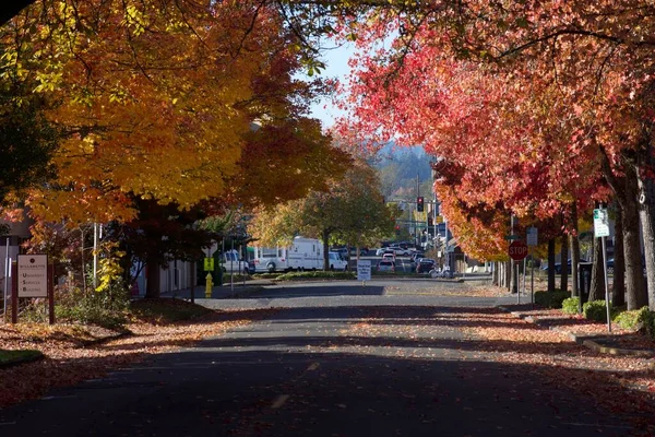 Incredibile Colpo Giorno Del Parco Autunnale — Foto Stock