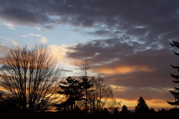 Orange Farbe Sonnenuntergang Himmel Mit Wolken Und Bäumen — Stockfoto