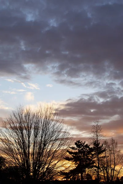 Orange Farbe Sonnenuntergang Himmel Mit Wolken Und Bäumen — Stockfoto